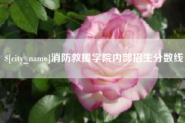 漳浦消防救援学院内部招生分数线