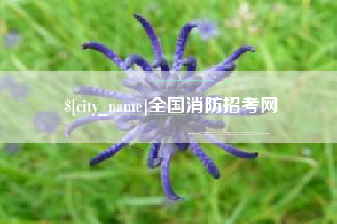漳浦全国消防招考网
