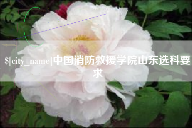 漳浦中国消防救援学院山东选科要求