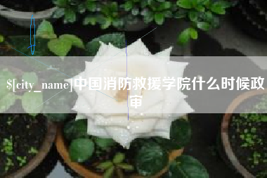 漳浦中国消防救援学院什么时候政审