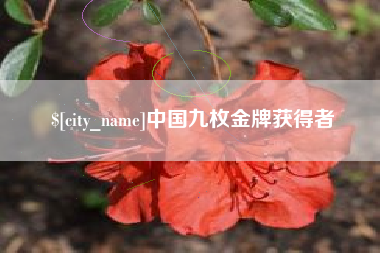漳浦中国九枚金牌获得者