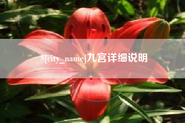 漳浦九宫详细说明