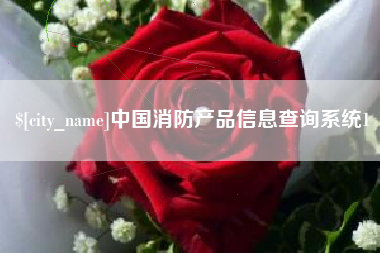 漳浦中国消防产品信息查询系统1