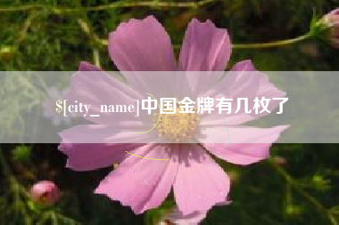 漳浦中国金牌有几枚了