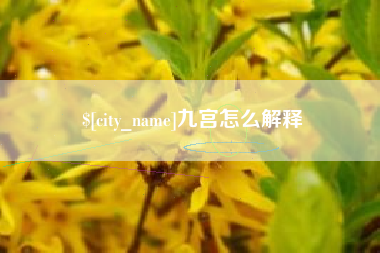 漳浦九宫怎么解释