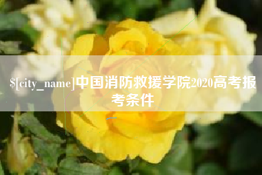 漳浦中国消防救援学院2020高考报考条件