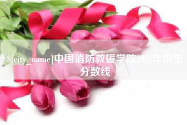 漳浦中国消防救援学院2021年招生分数线