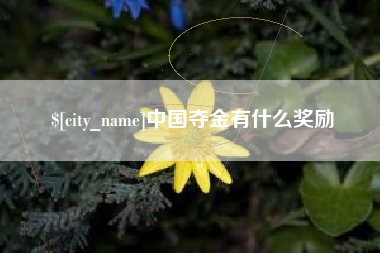 漳浦中国夺金有什么奖励