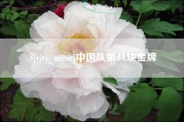 漳浦中国队第八块金牌