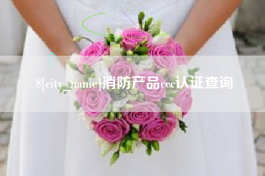 漳浦消防产品ccc认证查询