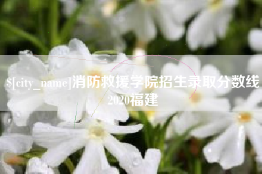 漳浦消防救援学院招生录取分数线2020福建
