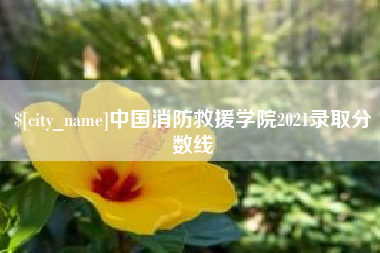 漳浦中国消防救援学院2021录取分数线