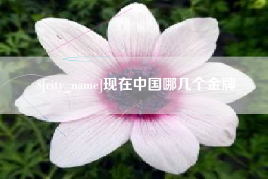漳浦现在中国哪几个金牌