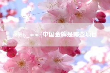 漳浦中国金牌是哪些项目