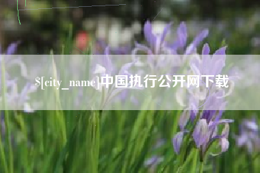 漳浦中国执行公开网下载