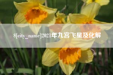 漳浦2021年九宫飞星及化解