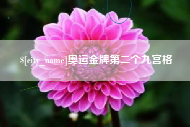 漳浦奥运金牌第二个九宫格