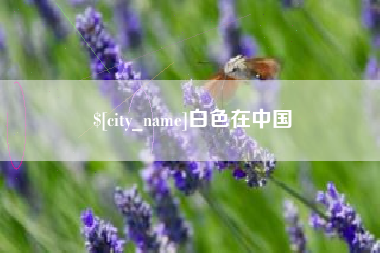 漳浦白色在中国