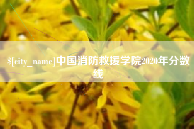 漳浦中国消防救援学院2020年分数线