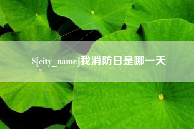 漳浦我消防日是哪一天