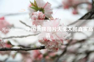 漳浦中国金牌图片大全大图真实高清
