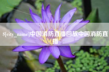 漳浦中国消防直播回放中国消防直播