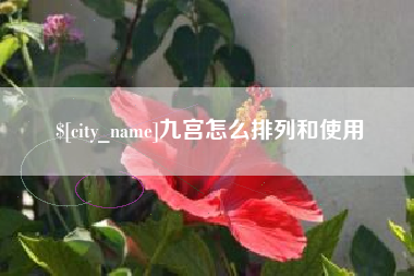 漳浦九宫怎么排列和使用