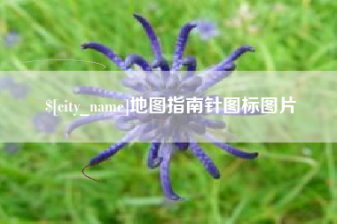 漳浦地图指南针图标图片