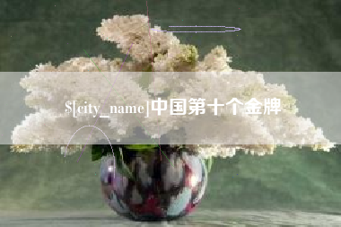 漳浦中国第十个金牌