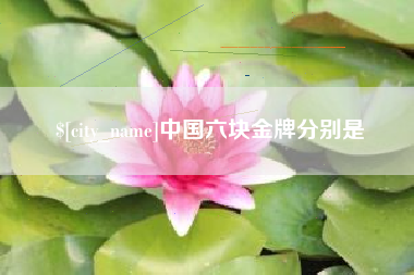 漳浦中国六块金牌分别是