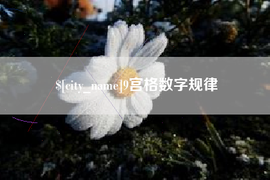 漳浦9宫格数字规律
