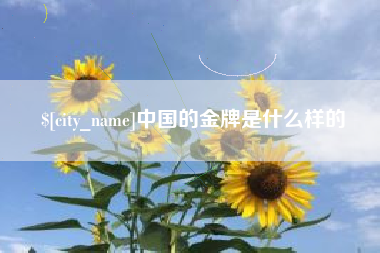 漳浦中国的金牌是什么样的