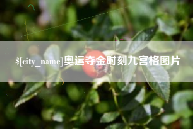 漳浦奥运夺金时刻九宫格图片