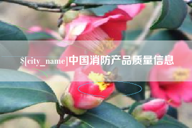 漳浦中国消防产品质量信息