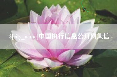 漳浦中国执行信息公开网失信