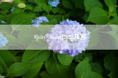漳浦2022九宫