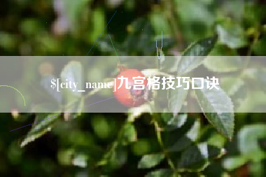 漳浦九宫格技巧口诀