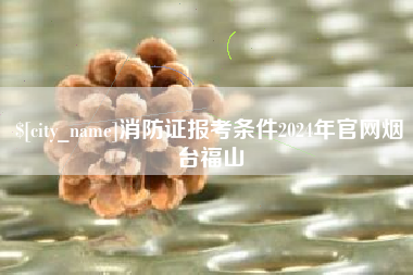 漳浦消防证报考条件2024年官网烟台福山
