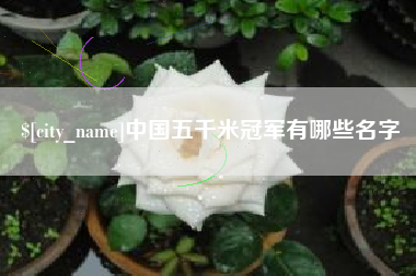 漳浦中国五千米冠军有哪些名字