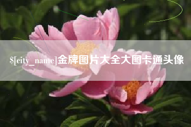 漳浦金牌图片大全大图卡通头像