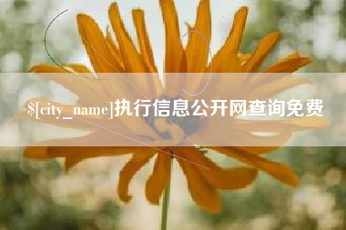 漳浦执行信息公开网查询免费