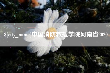 漳浦中国消防救援学院河南省2020